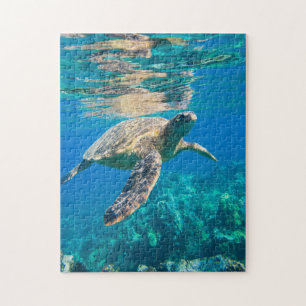 Puzzle Tortue de mer