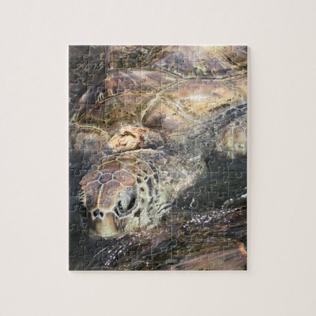 Puzzle Tortue de mer adulte (Vertical)
