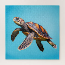 Tortue de mer colorée nageant sous l'eau