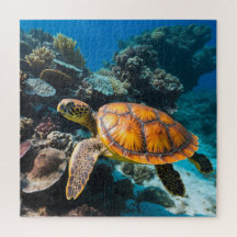Tortue de mer récif de corail sous-marin