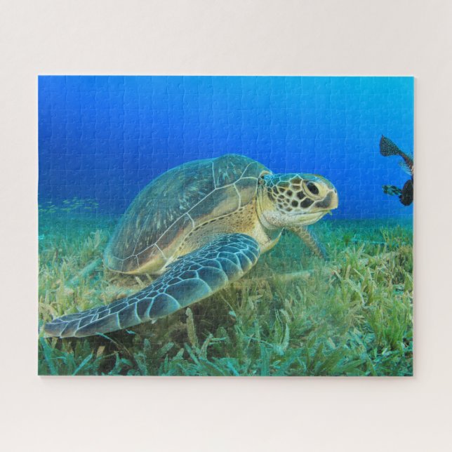Puzzle Tortue de mer sous l'eau (Horizontal)