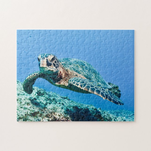 Puzzle Tortue de mer verte (Horizontal)