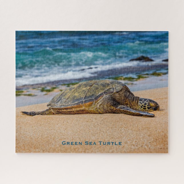 Puzzle Tortue de mer verte (Horizontal)