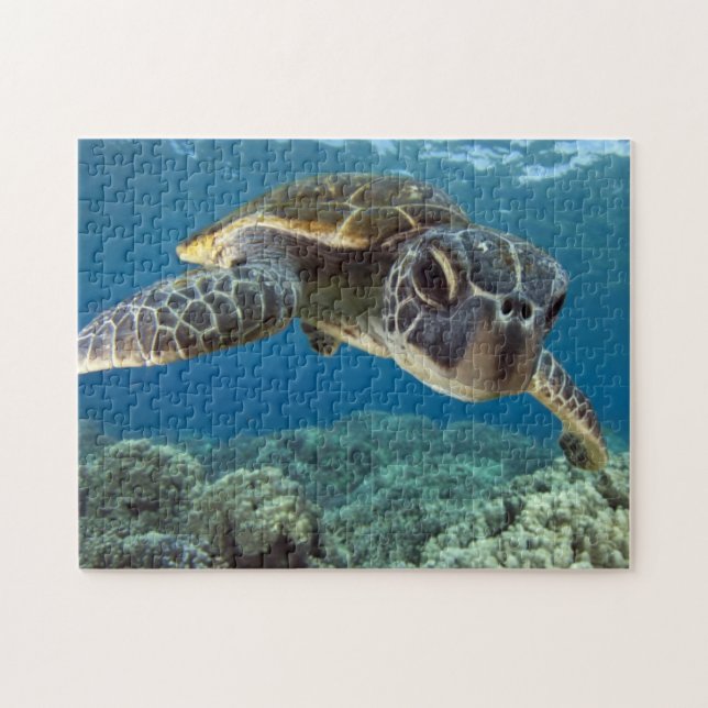 Puzzle Tortue de mer verte hawaïenne (Horizontal)