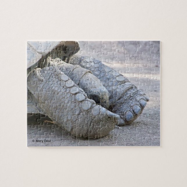 Puzzle Tortue de Sulcata (Horizontal)