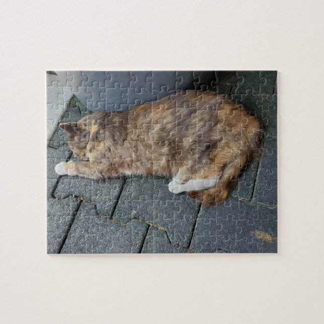 Puzzle Tortue dormante (Horizontal)