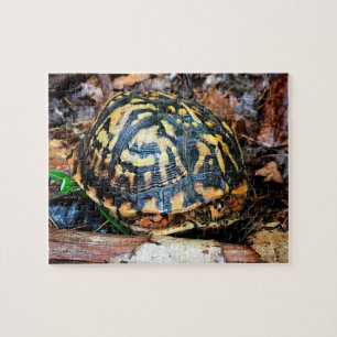 Puzzle Tortue en Forêt, Chester, Caroline du Sud