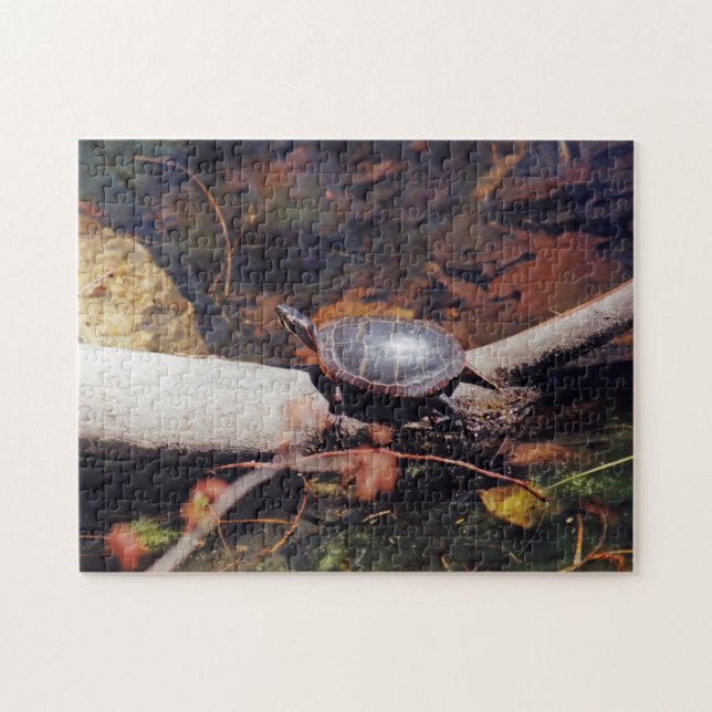 Puzzle Tortue heureuse (Horizontal)
