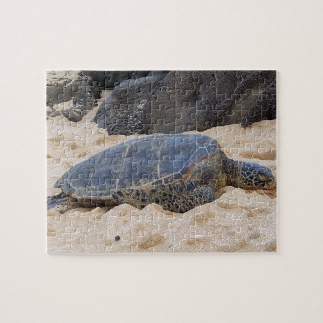 Puzzle Tortue marine hawaïenne (Horizontal)