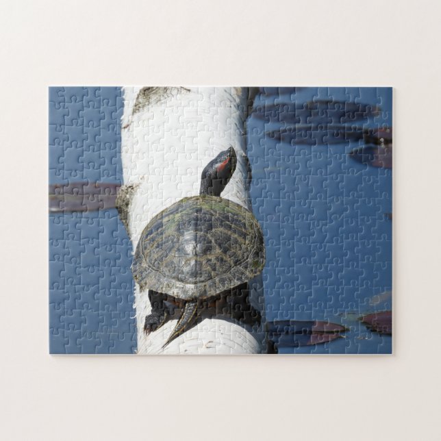 Puzzle Tortue peinte de l'Est assise sur bouleau (Horizontal)