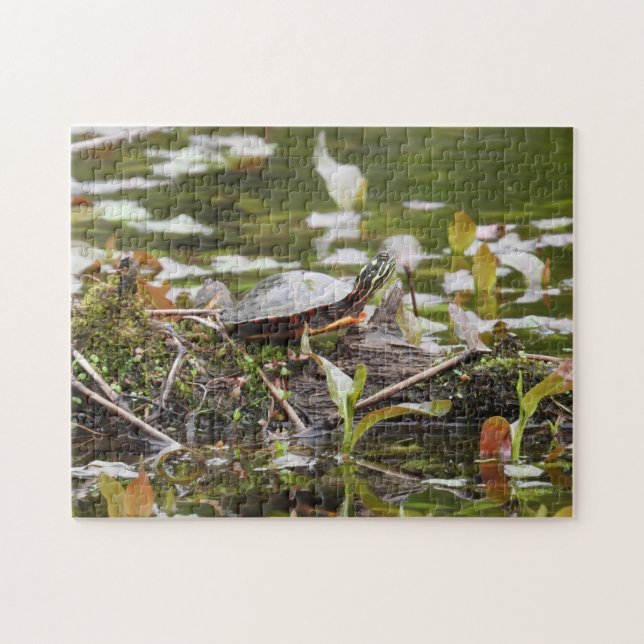 Puzzle Tortue peinte lors de l'ouverture de session dans  (Horizontal)