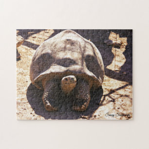 Puzzle Tortue stimulée africaine