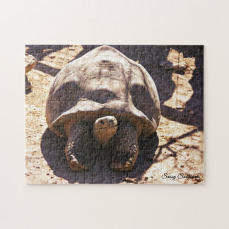 Puzzle Tortue stimulée africaine