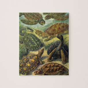 Puzzle Tortues de mer Tortue terrestre vintage par Ernst 