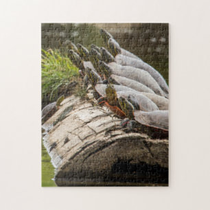 Puzzle Tortues Peintes Se Soldant Dans Un Étang