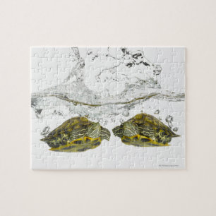 Puzzle Tortues rouges