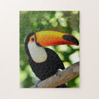 Toucan