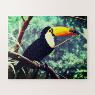 Puzzle Toucan