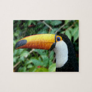 Puzzle Toucan à bec jaune