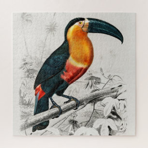 Puzzle Toucan Ramphastos Illustration Art Vintage Imprime