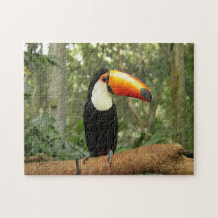 Puzzle Toucan sur branche d'arbre