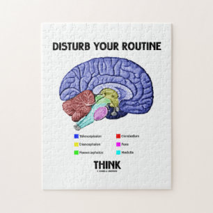 Puzzle Touchez à votre routine pensent (l'anatomie de