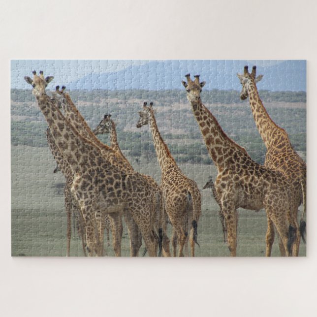 Puzzle tour de la girafe (Horizontal)
