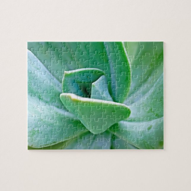 Puzzle Tourbillon Succulent (Horizontal)