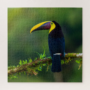Puzzle Tourisme australien
