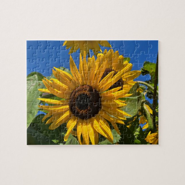 Puzzle Tournesol (Horizontal)