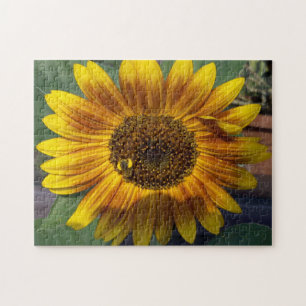 Puzzle Tournesol