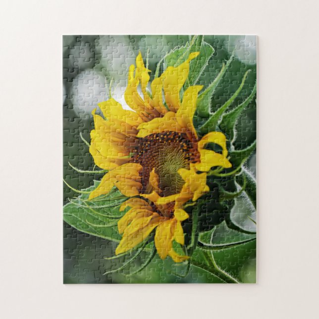 Puzzle Tournesol (Vertical)