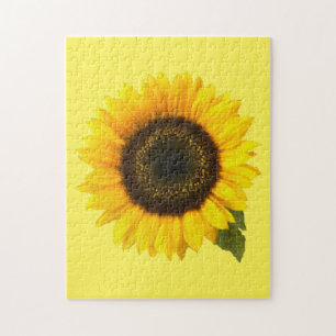 Puzzle Tournesol