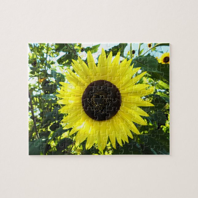 Puzzle tournesol (Horizontal)