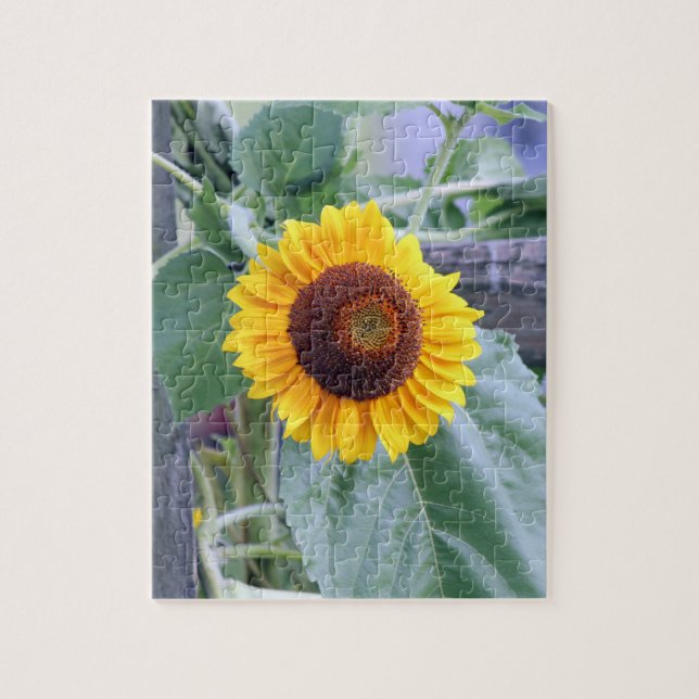 Puzzle tournesol (Vertical)