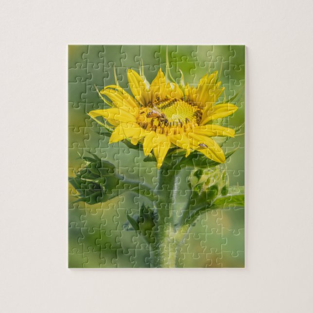 Puzzle tournesol (Vertical)