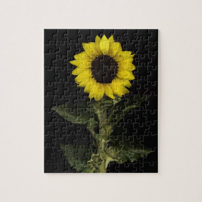 Puzzle Tournesol 11 (Vertical)