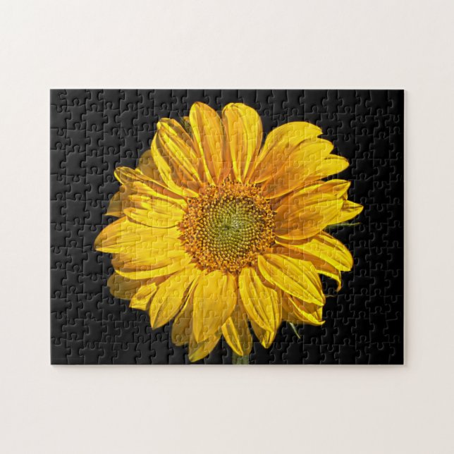 Puzzle Tournesol 11x14 252pc jpa (Horizontal)