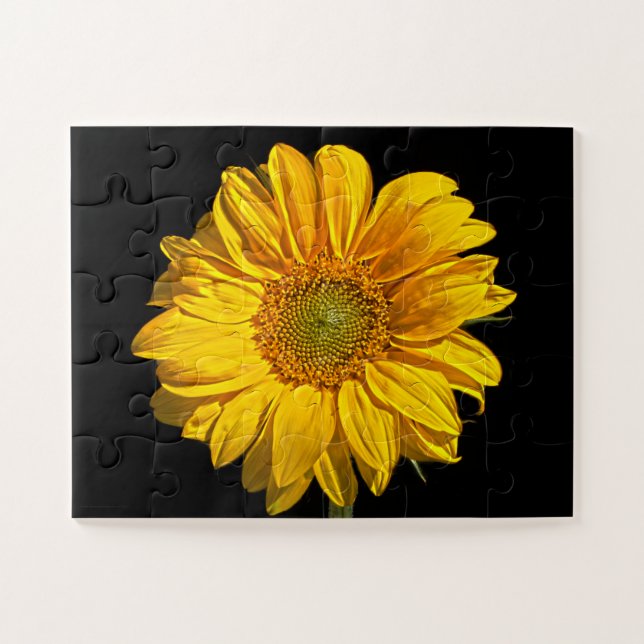 Puzzle Tournesol 11x14 jpcna 30pc (Horizontal)