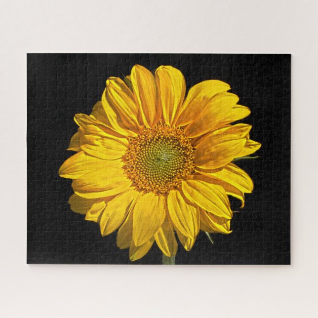 Puzzle Tournesol 16x20 520pc jpcnm (Horizontal)