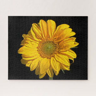 Puzzle Tournesol 16x20 jpcna 520pc