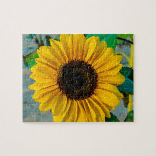 Puzzle Tournesol avec abeille