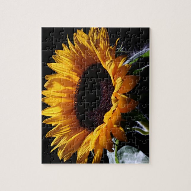 Puzzle Tournesol en studio 1 (Vertical)