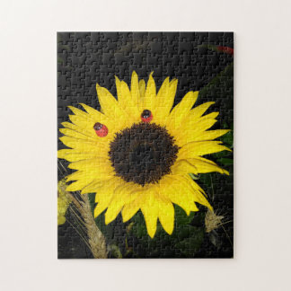 Puzzle Tournesol Jaune Et Deux Ladybugs