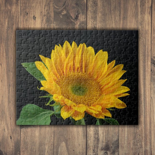Puzzle Tournesol jaune sur fond noir (Yellow Sunflower on Black Background Jigsaw Puzzle)