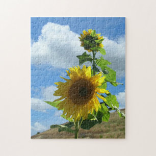 Puzzle - Tournesol sur une colline v.2