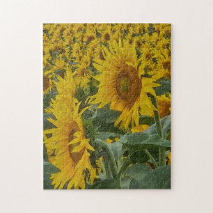 Puzzle Tournesols Ensoleillés, 11" x 14", 252 pièc