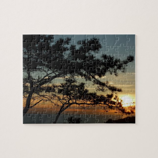 Puzzle Tourrey Pine Sunset I California Paysage (Horizontal)