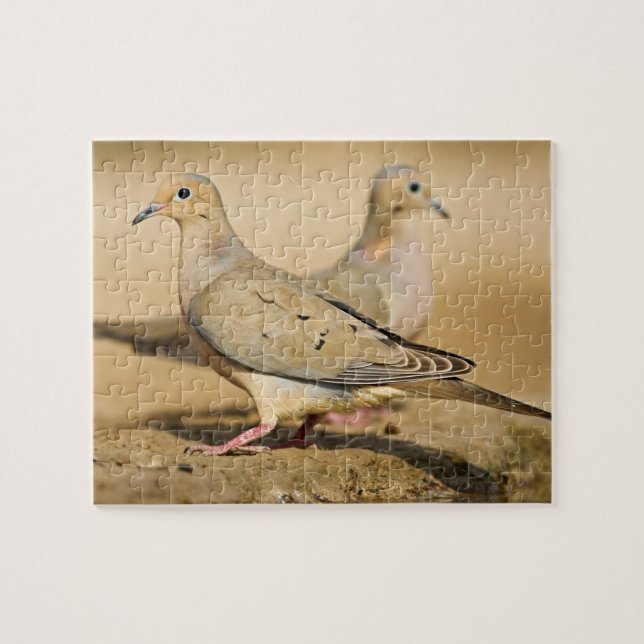 Puzzle Tourterelle triste (Horizontal)