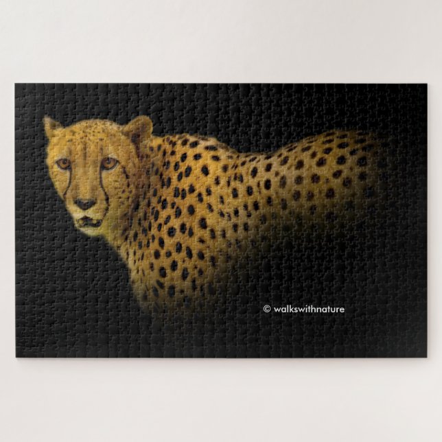 Puzzle Trading Glances with a Magnificent Cheetah (Horizontal)